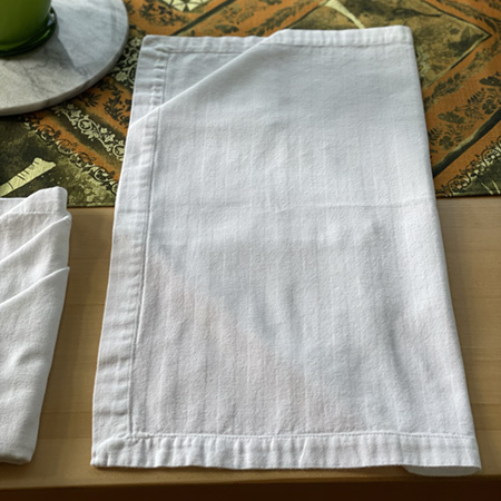 Step 4: Fold Napkin in Half Vertically 